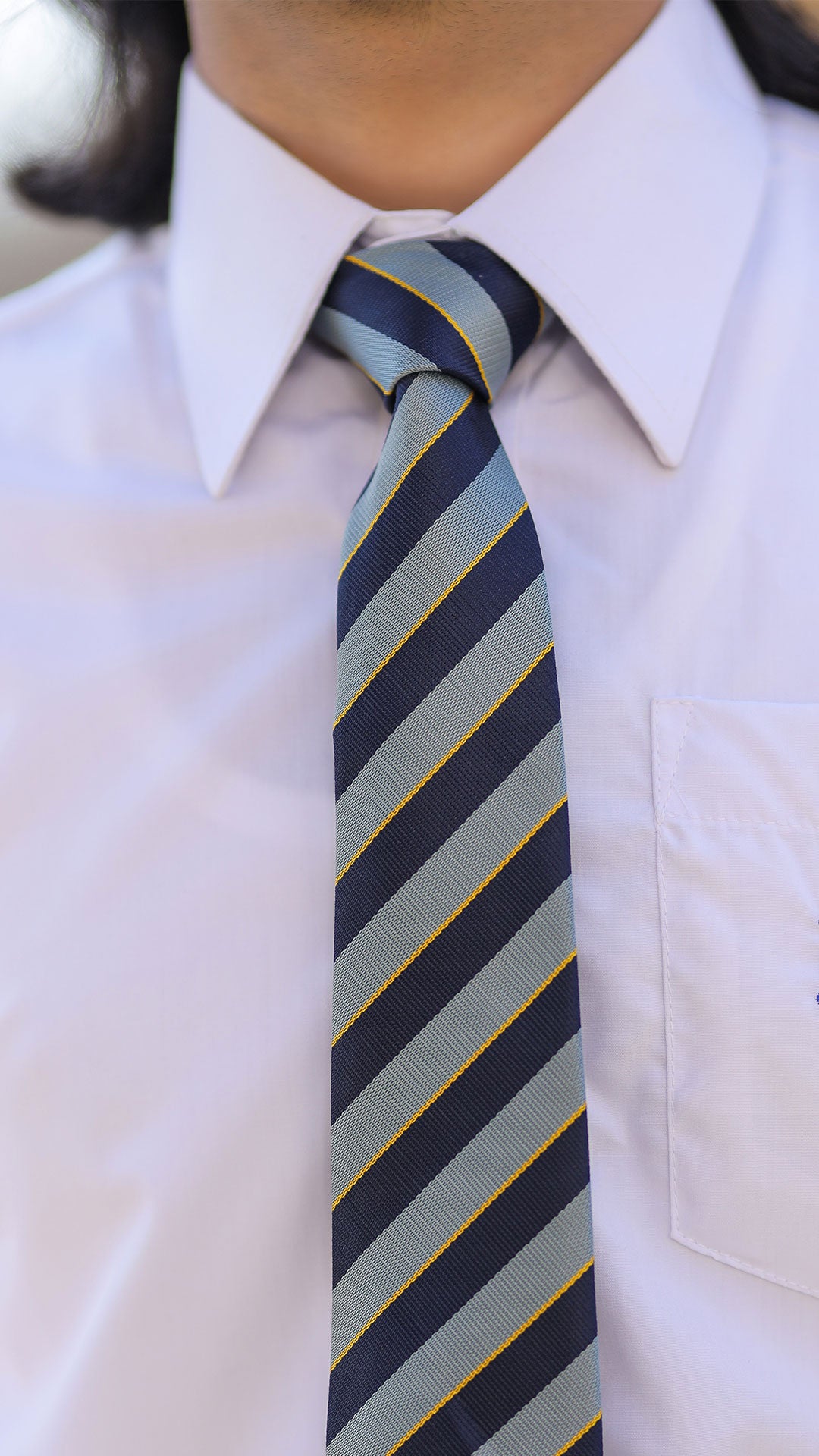 Tie Blue & Grey Large